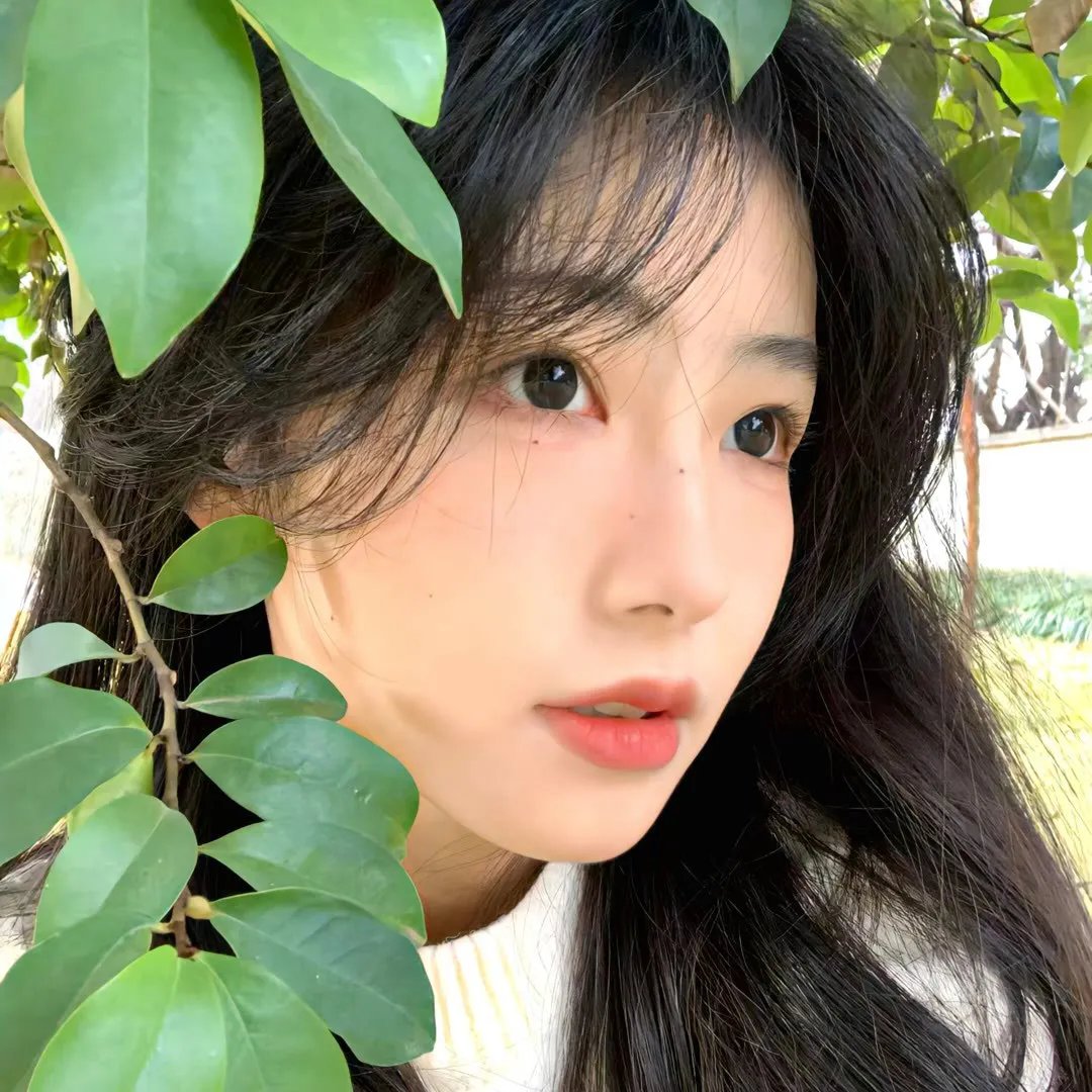 走过被遗忘的小路